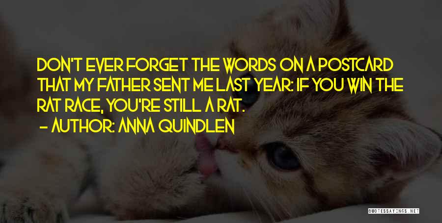 Anna Quindlen Quotes 2016639