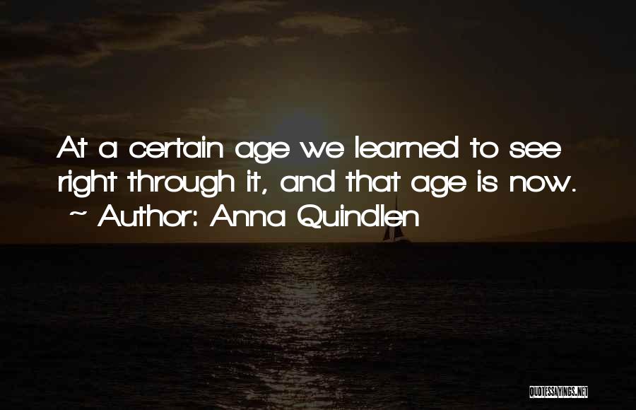 Anna Quindlen Quotes 959418