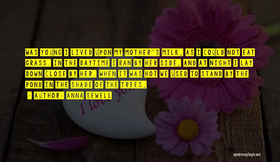 Anna Sewell Quotes 1224943