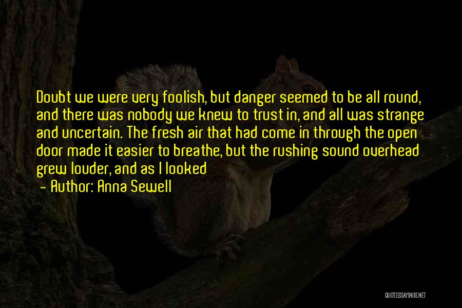 Anna Sewell Quotes 1298383