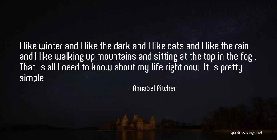 Annabel Pitcher Quotes 417206