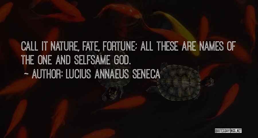 Annaeus Seneca Quotes By Lucius Annaeus Seneca