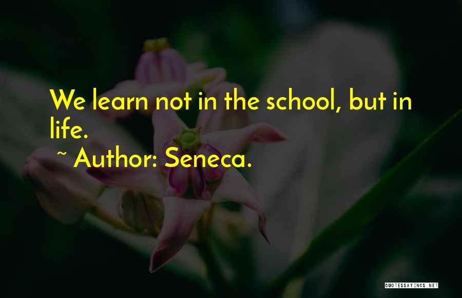 Annaeus Seneca Quotes By Seneca.