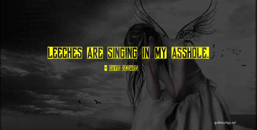 Annalaura Fuson Quotes By David Sedaris Annalaura Fuson Quotes By David Sedaris