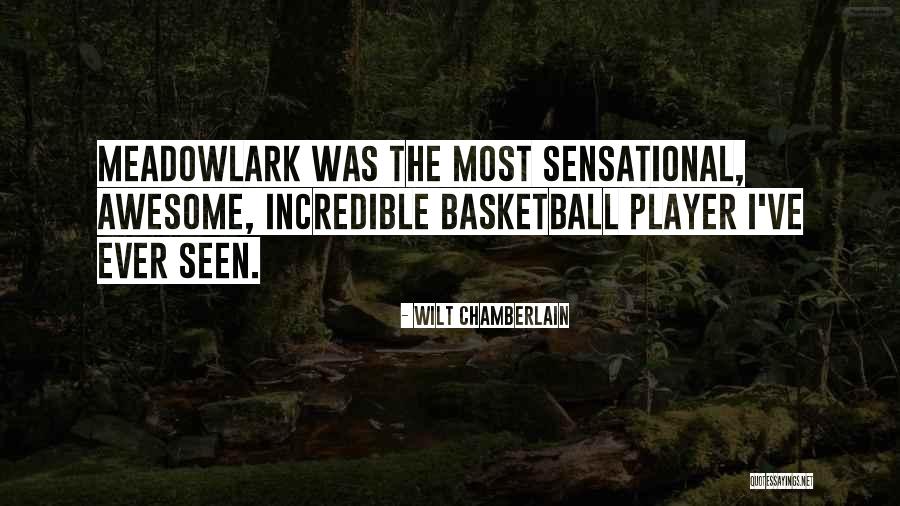 Annalese Rensburg Quotes By Wilt Chamberlain Annalese Rensburg Quotes By Wilt Chamberlain