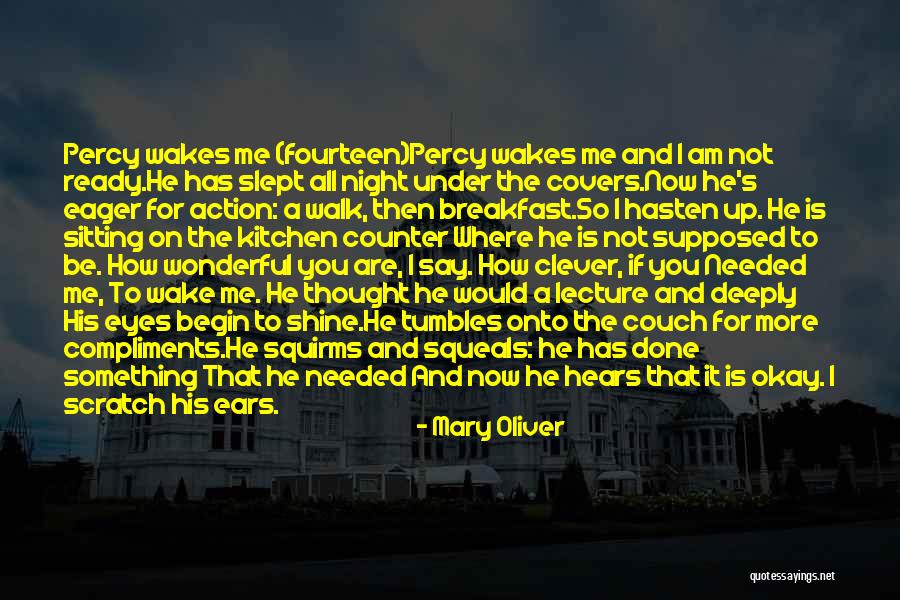 Anndabajar Quotes By Mary Oliver Anndabajar Quotes By Mary Oliver
