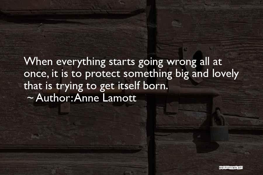 Anne Born Quotes By Anne Lamott