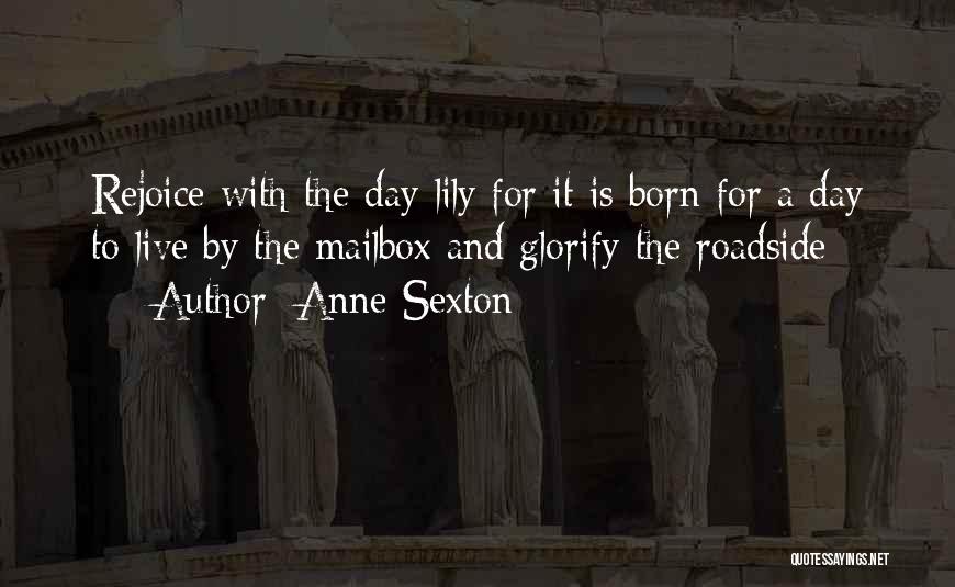 Anne Born Quotes By Anne Sexton