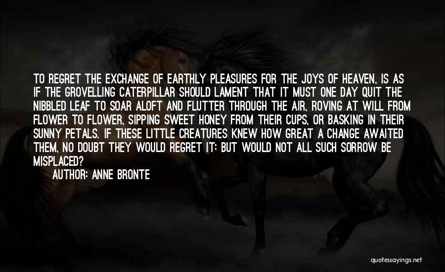 Anne Bronte Quotes 1234096