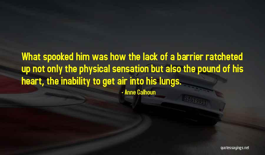 Anne Calhoun Quotes 77900