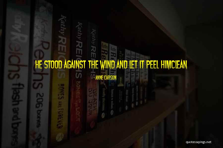 Anne Carson Quotes 1376799 Anne Carson Quotes 1376799