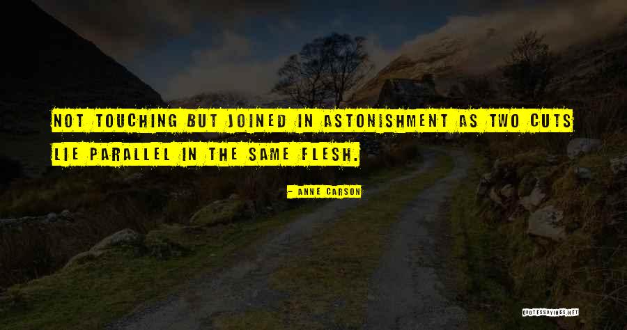 Anne Carson Quotes 1774531 Anne Carson Quotes 1774531