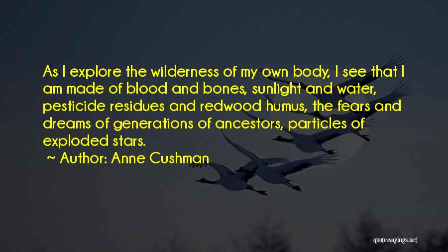 Anne Cushman Quotes 519892