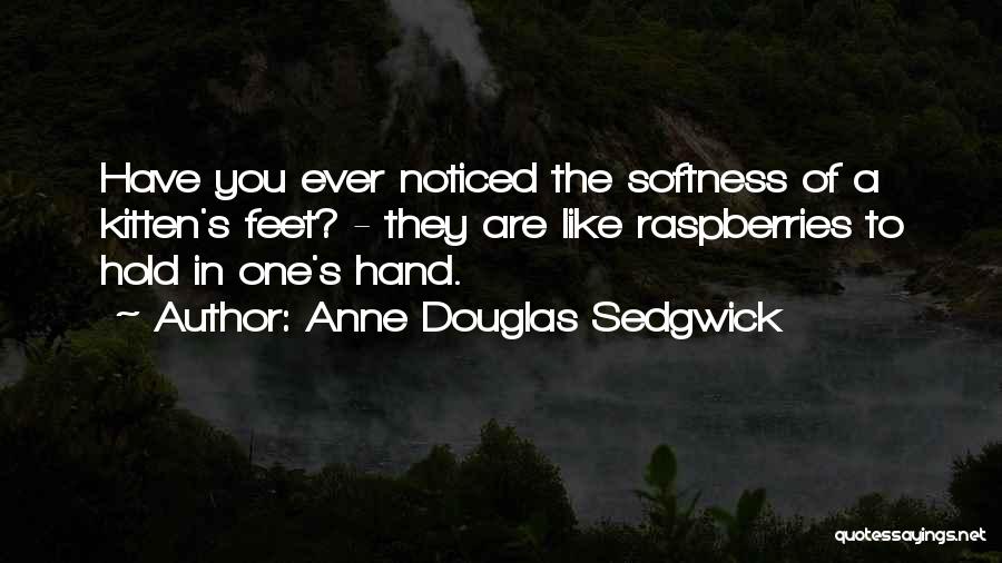 Anne Douglas Sedgwick Quotes 1708472