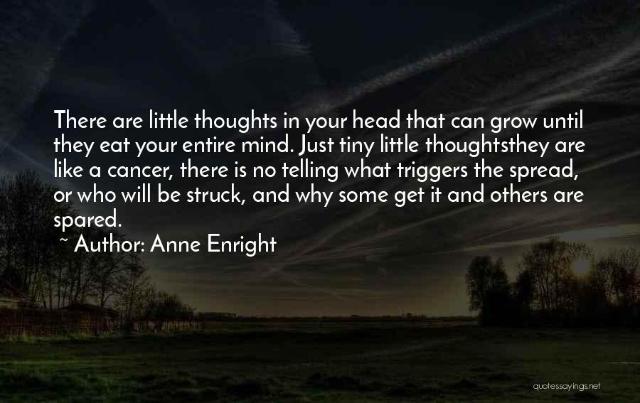 Anne Enright Quotes 1716756