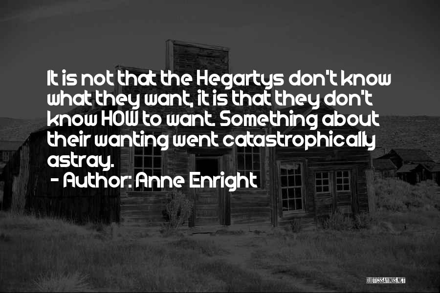 Anne Enright Quotes 2241346
