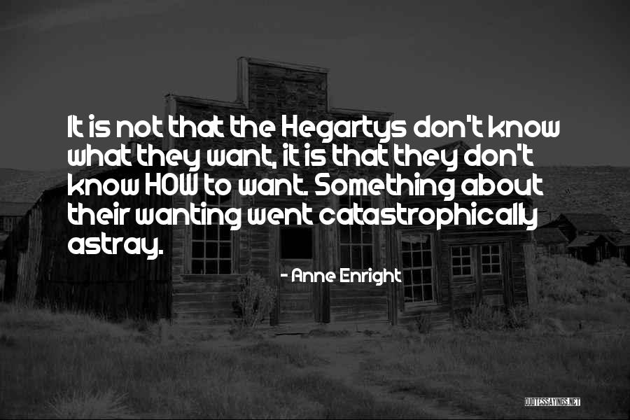 Anne Enright Quotes 2241346