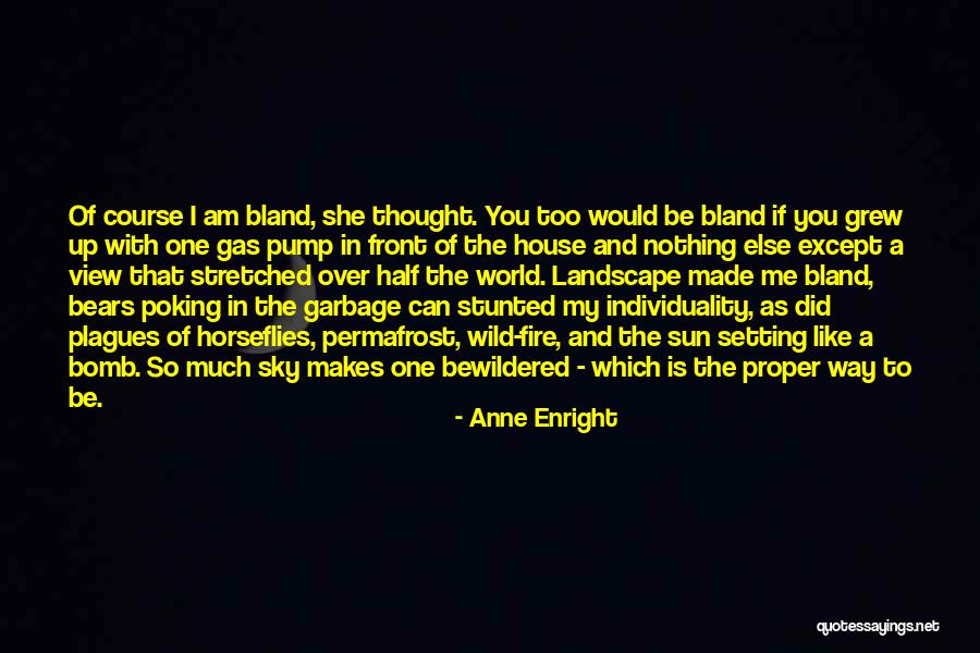 Anne Enright Quotes 334441