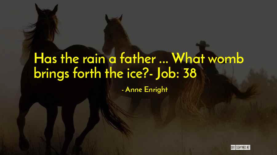 Anne Enright Quotes 652753