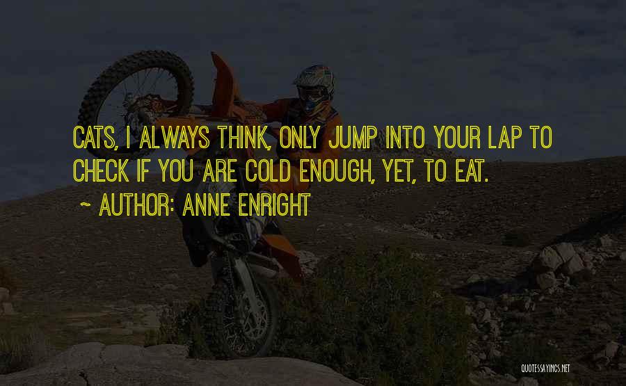 Anne Enright Quotes 941235