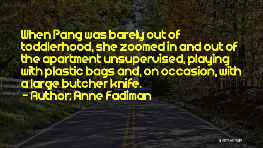Anne Fadiman Quotes 479682