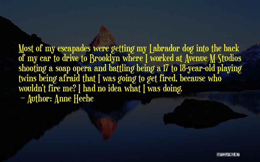 Anne Heche Quotes 998632