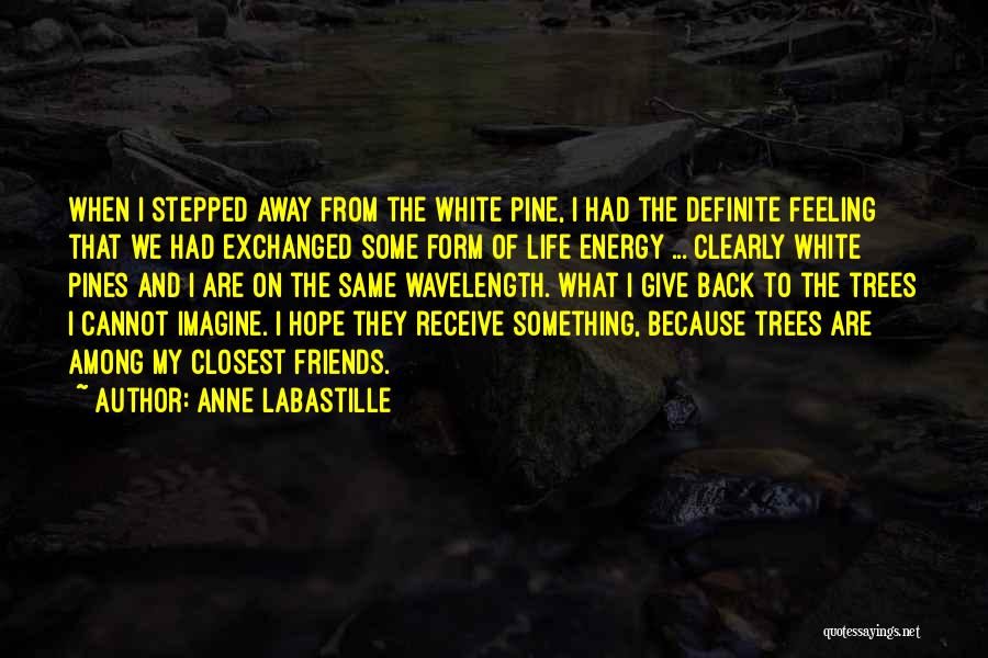 Anne LaBastille Quotes 781188