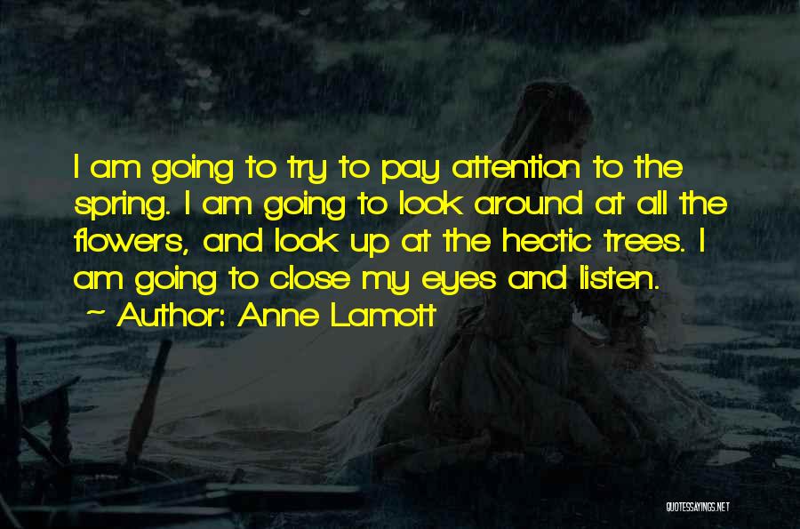 Anne Lamott Quotes 1141125