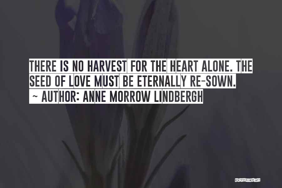 Anne Lindbergh Quotes By Anne Morrow Lindbergh