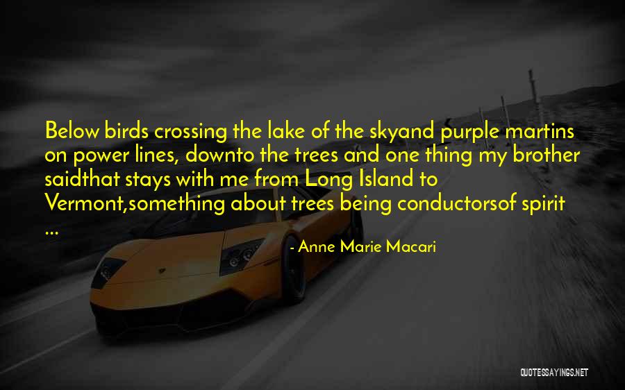 Anne Marie Macari Quotes 939986 Anne Marie Macari Quotes 939986
