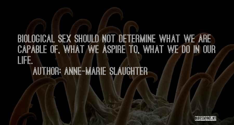 Anne Marie Quotes By Anne-Marie Slaughter