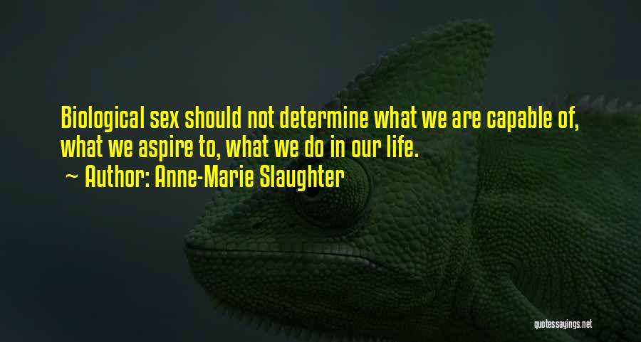 Anne-Marie Slaughter Quotes 1509753
