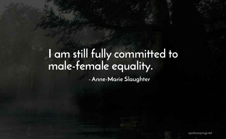 Anne-Marie Slaughter Quotes 1762994