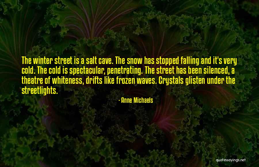 Anne Michaels Quotes 940652 Anne Michaels Quotes 940652