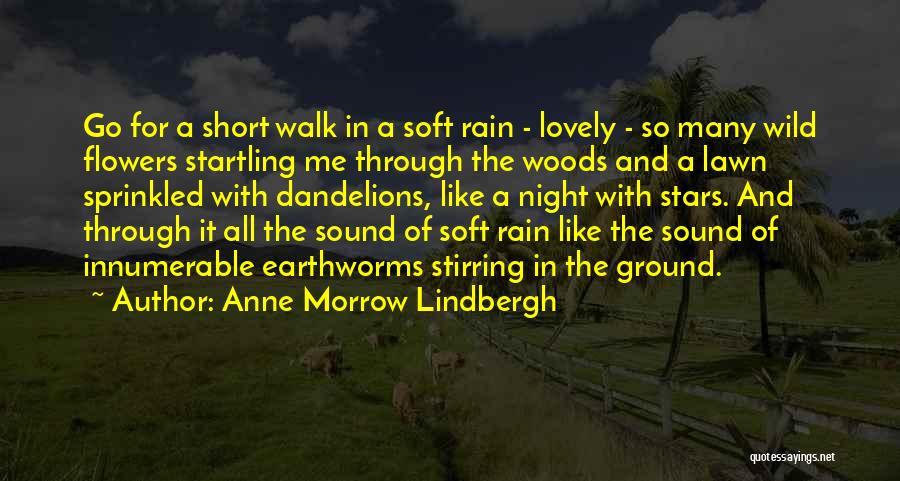 Anne Morrow Lindbergh Quotes 1205378