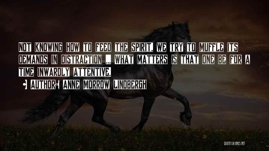 Anne Morrow Lindbergh Quotes 1391049