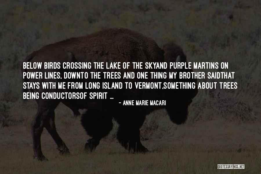 Anne Of The Island Quotes By Anne Marie Macari Anne Of The Island Quotes By Anne Marie Macari