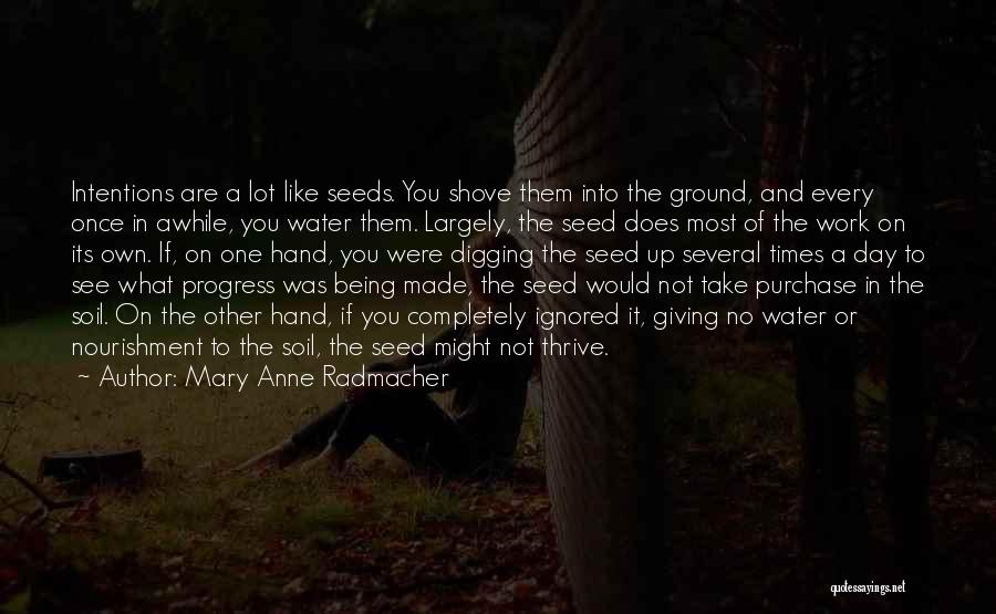 Anne Radmacher Quotes By Mary Anne Radmacher