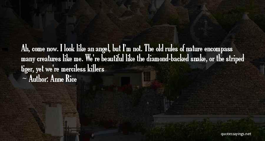 Anne Rice Lestat Quotes By Anne Rice