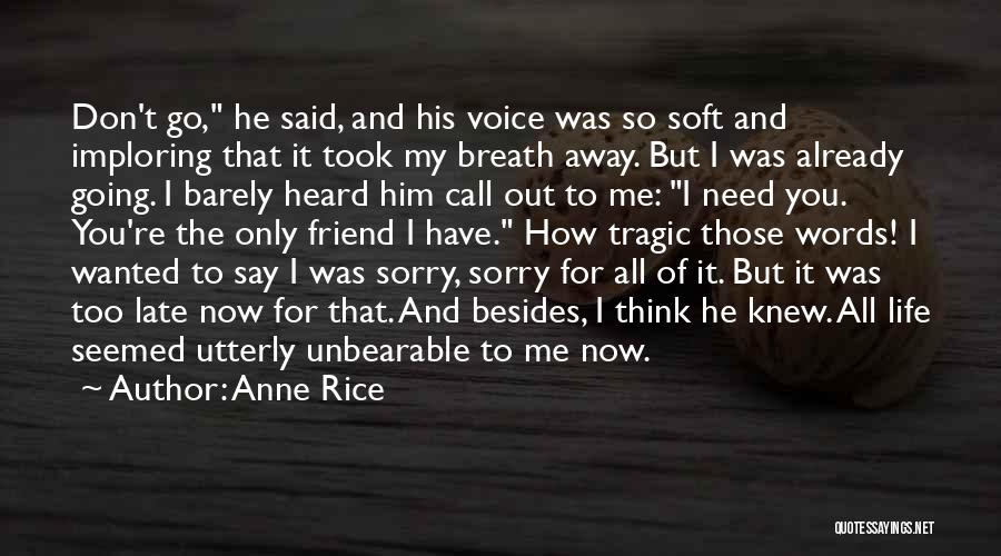 Anne Rice Lestat Quotes By Anne Rice