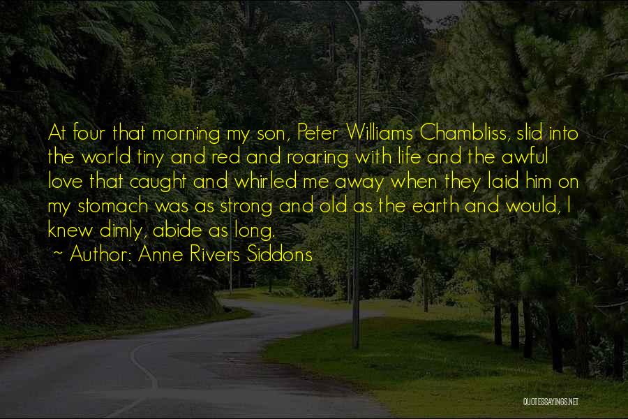 Anne Rivers Siddons Quotes 1325061