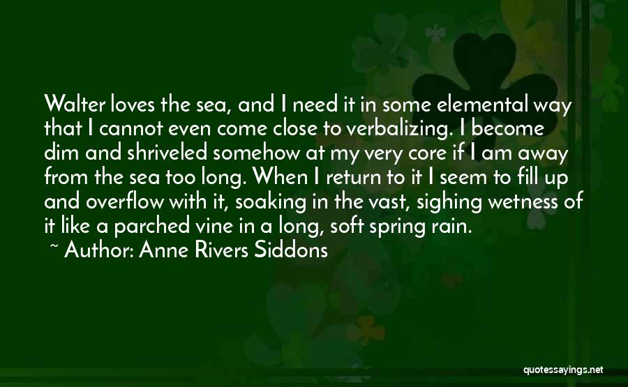 Anne Rivers Siddons Quotes 1411626