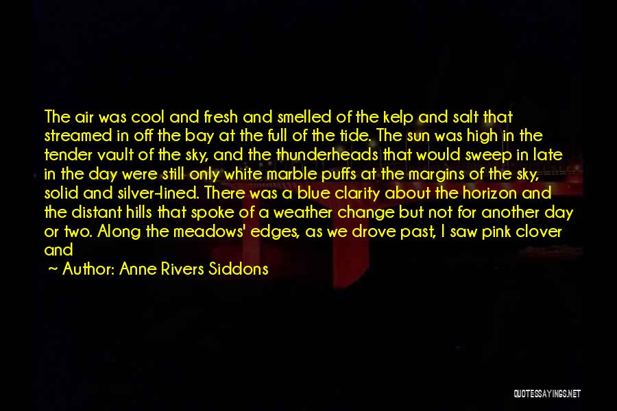 Anne Rivers Siddons Quotes 161335