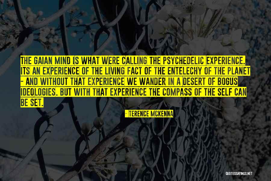 Anne Robert Turgot Quotes By Terence McKenna Anne Robert Turgot Quotes By Terence McKenna