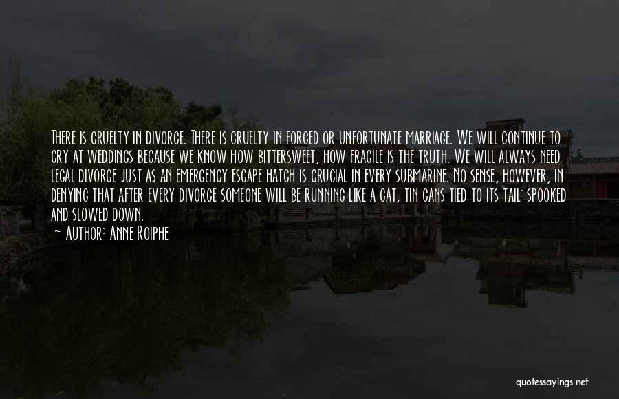 Anne Roiphe Quotes 112236 Anne Roiphe Quotes 112236
