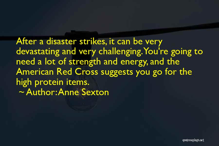 Anne Sexton Quotes 1081692
