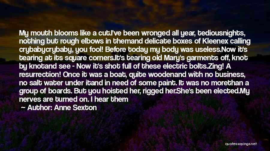 Anne Sexton Quotes 1203951 Anne Sexton Quotes 1203951