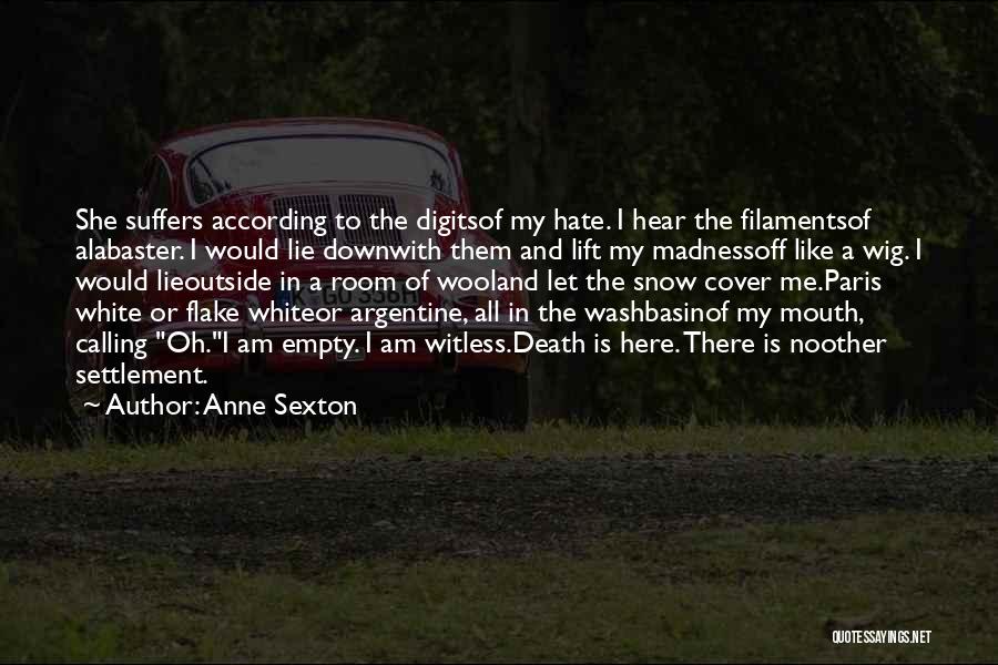 Anne Sexton Quotes 1296707