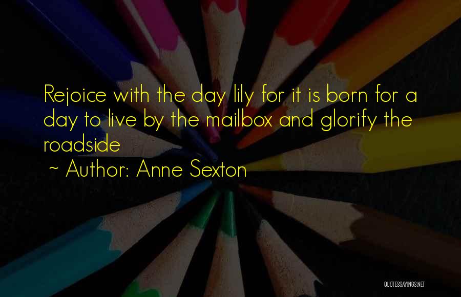Anne Sexton Quotes 1370952