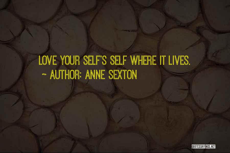 Anne Sexton Quotes 1474374